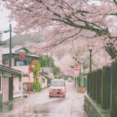 幽冥仙路变态版下载